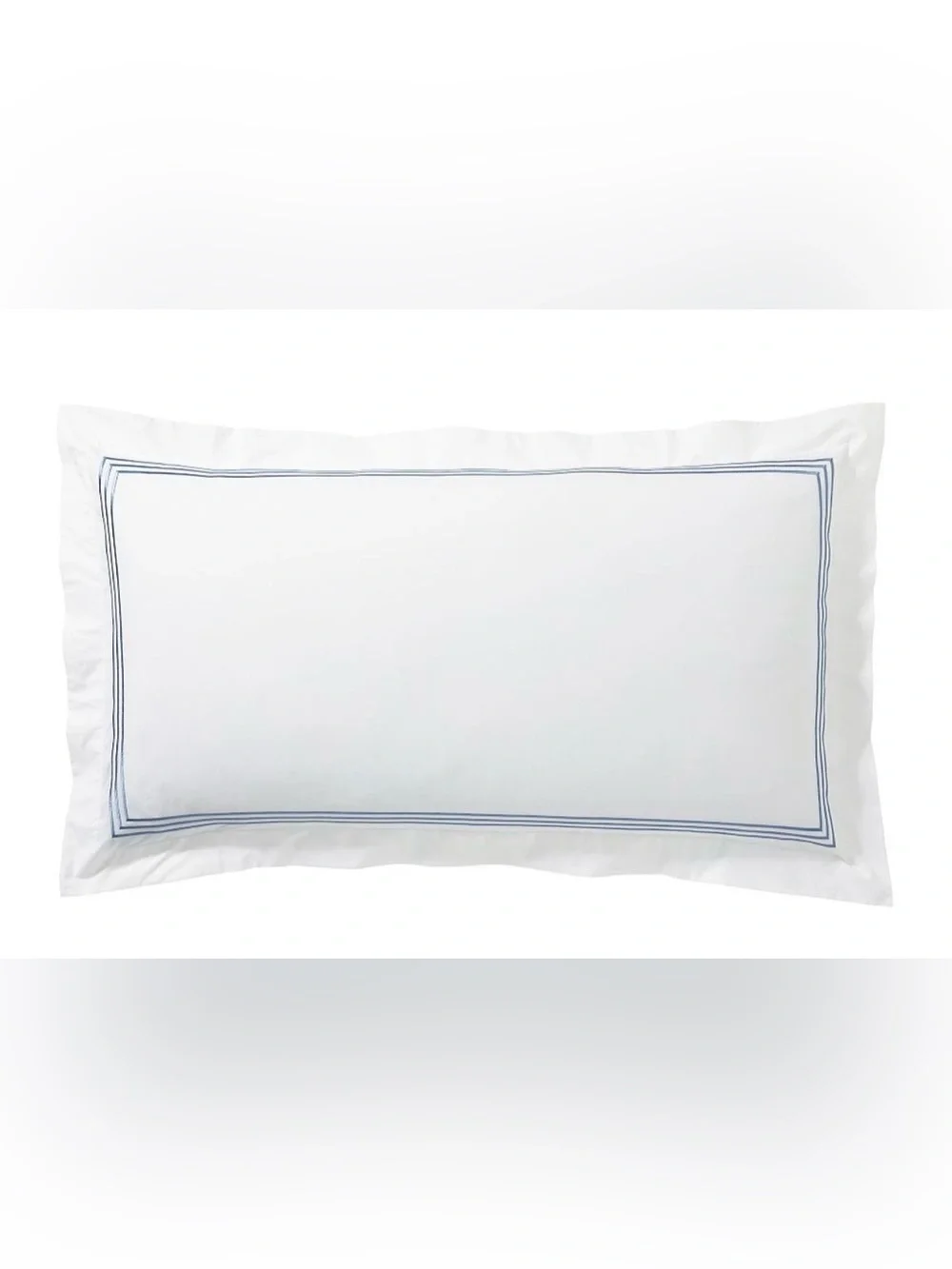 Pottery Barn grand pillow shams set of 2 blue embroidered bedding